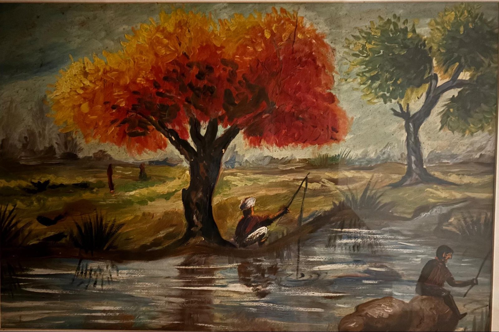 Calm beneath the flame tree